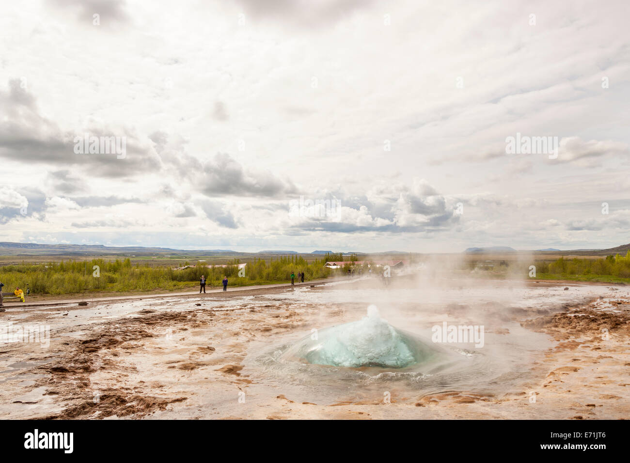 Strokkur Geysir ausbrechen im Bereich Geysir heißen Quellen geothermische Gebiet Haukadalur, Südwest Island Stockfoto