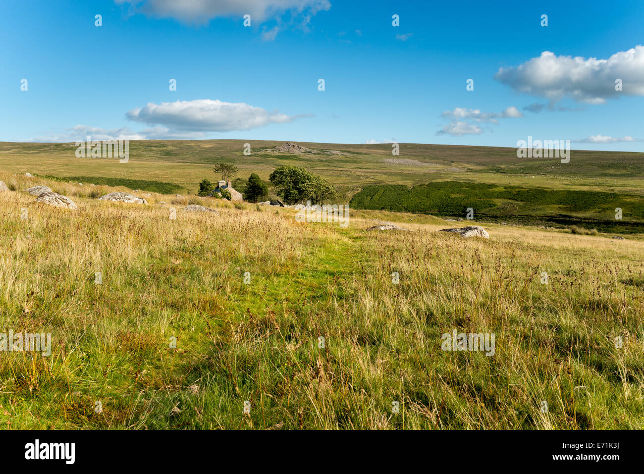 Ditsworthy Warren auf Dartmoor National Park in Devon Stockfoto