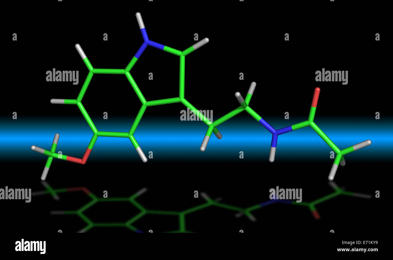 Molekül der Melatonin-Hormon regulierenden Circadiane Rhythmen und einige andere biologische Funktionen. Stockfoto