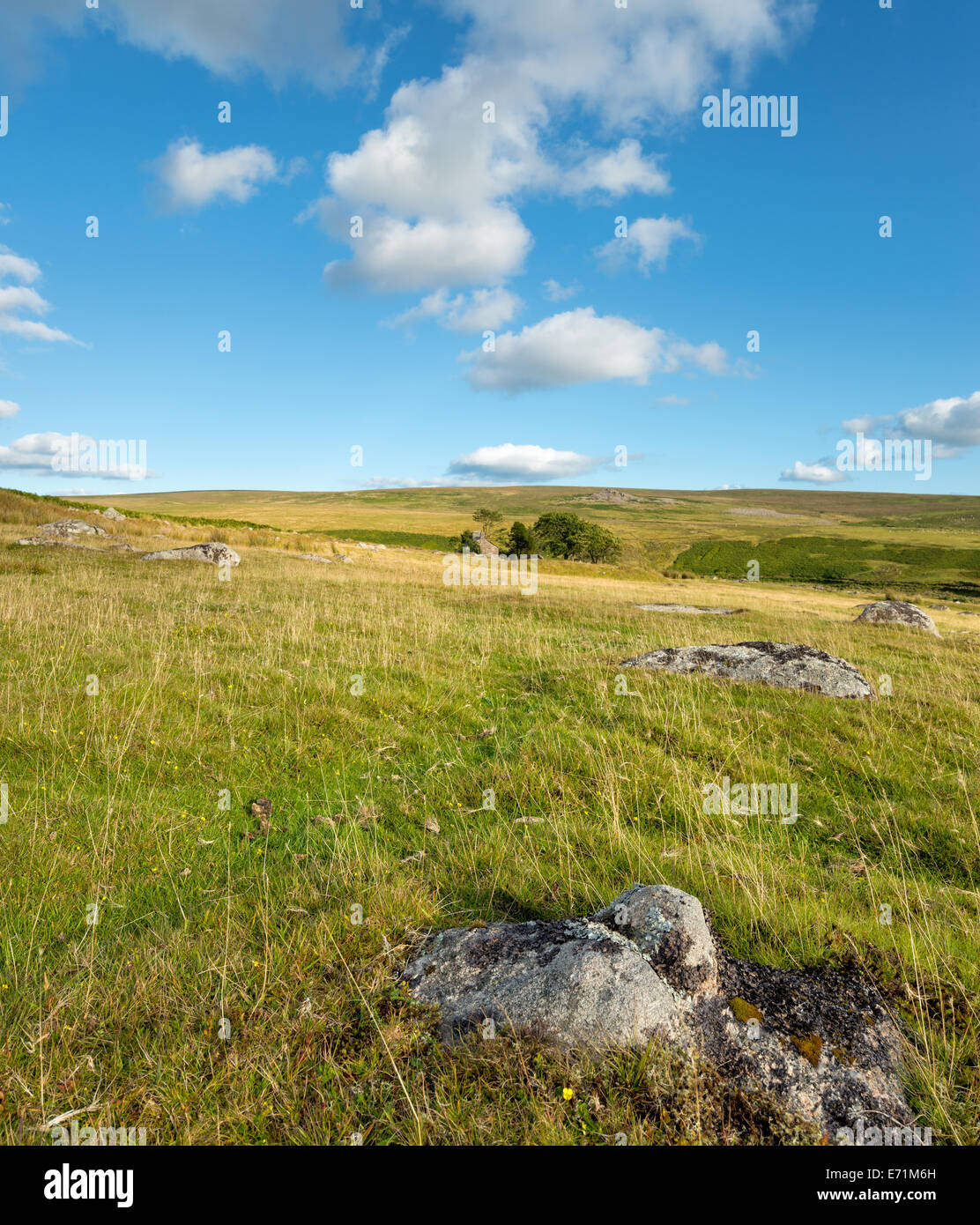 Ditsworthy Warren auf Dartmoor National Park in Devon Stockfoto