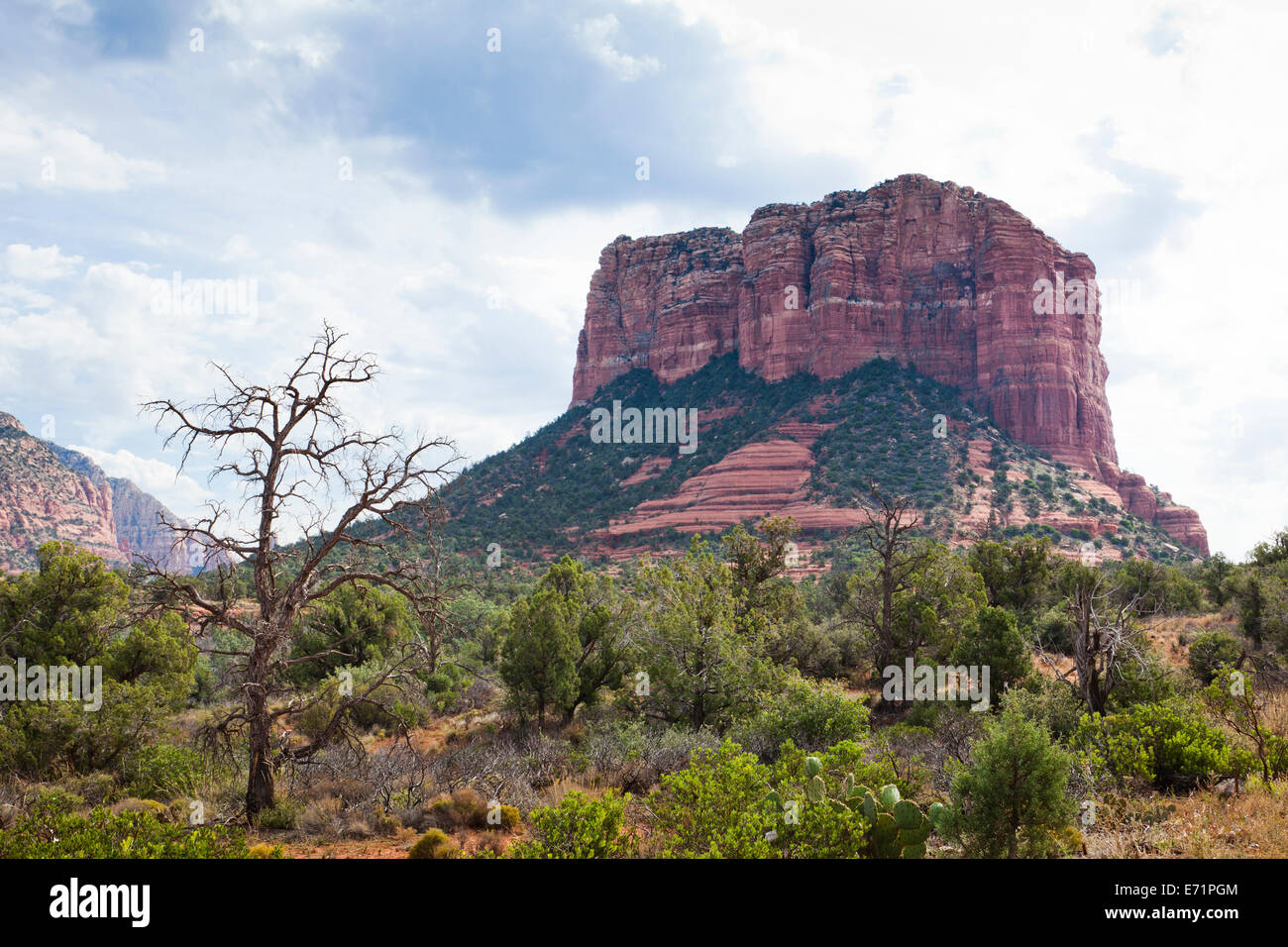Erodierte Sandsteinformationen - Sedona, Arizona USA Stockfoto