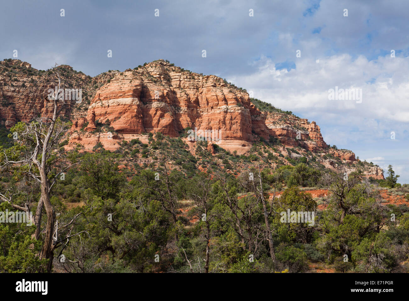 Erodierte Sandsteinformationen - Sedona, Arizona USA Stockfoto