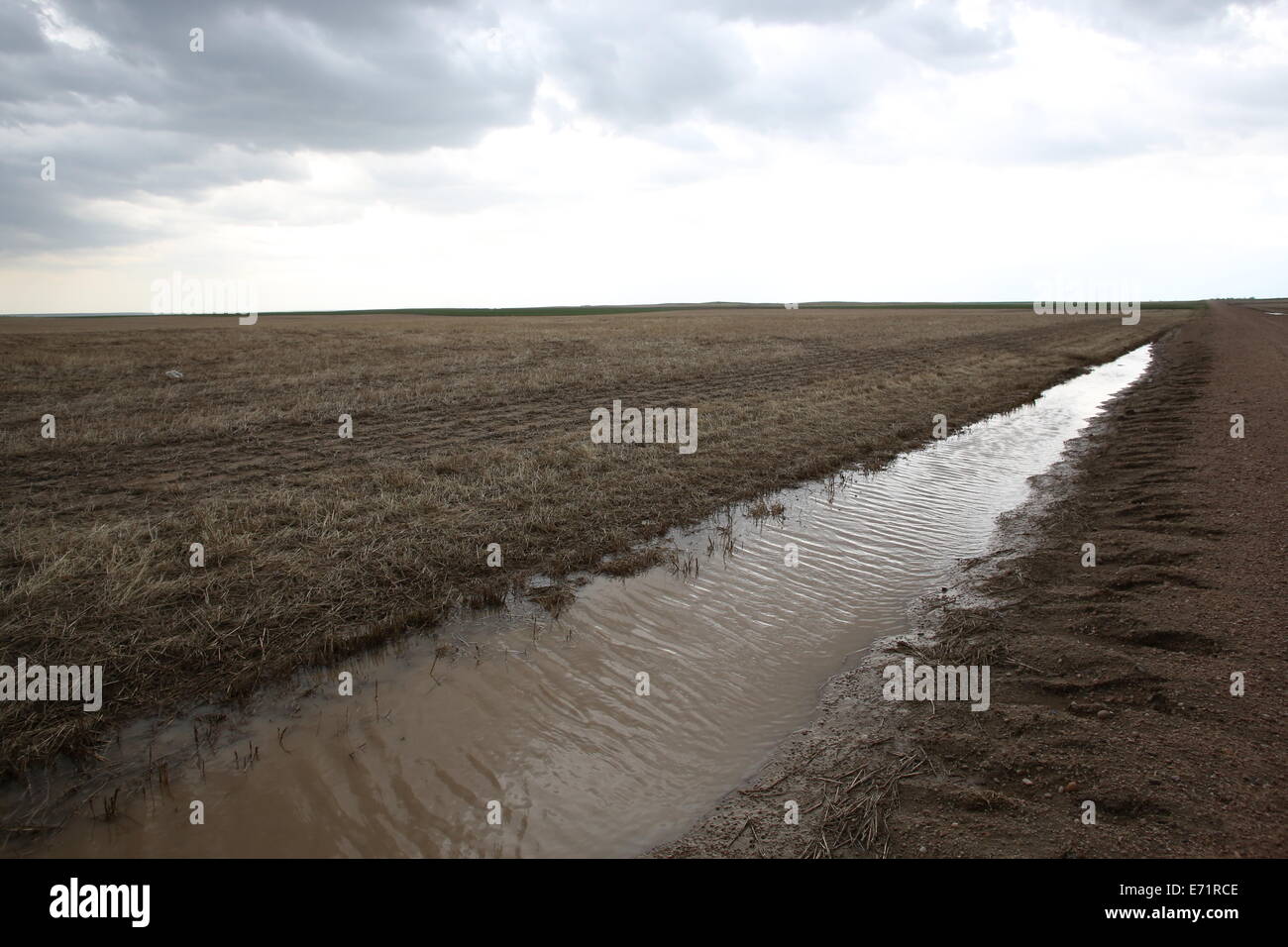 Wasser in einem Graben neben einem Feld im östlichen Colorado. Stockfoto