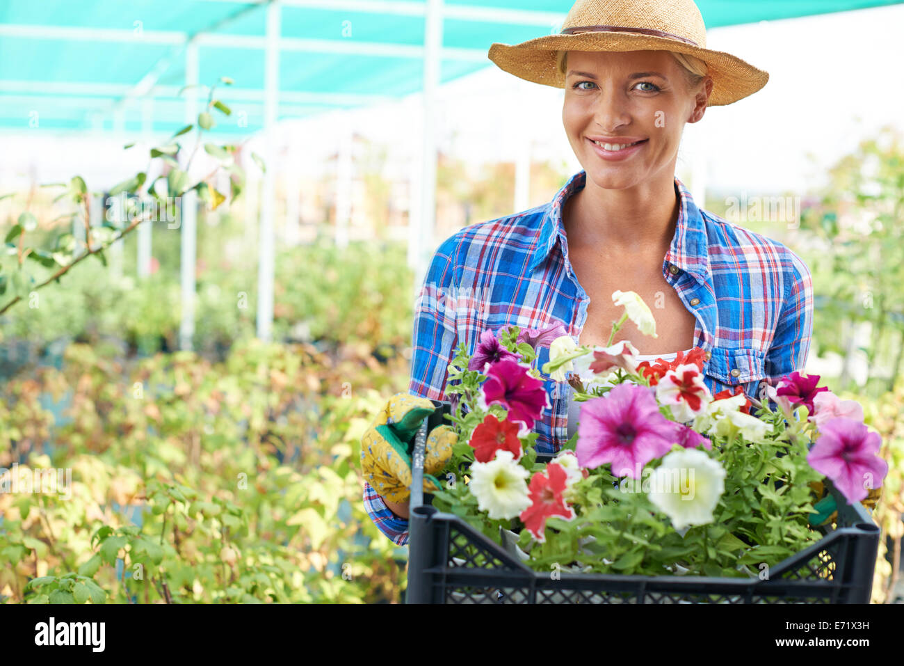 Glückliche Frau mit Petunien Blumen Blick in die Kamera Stockfoto