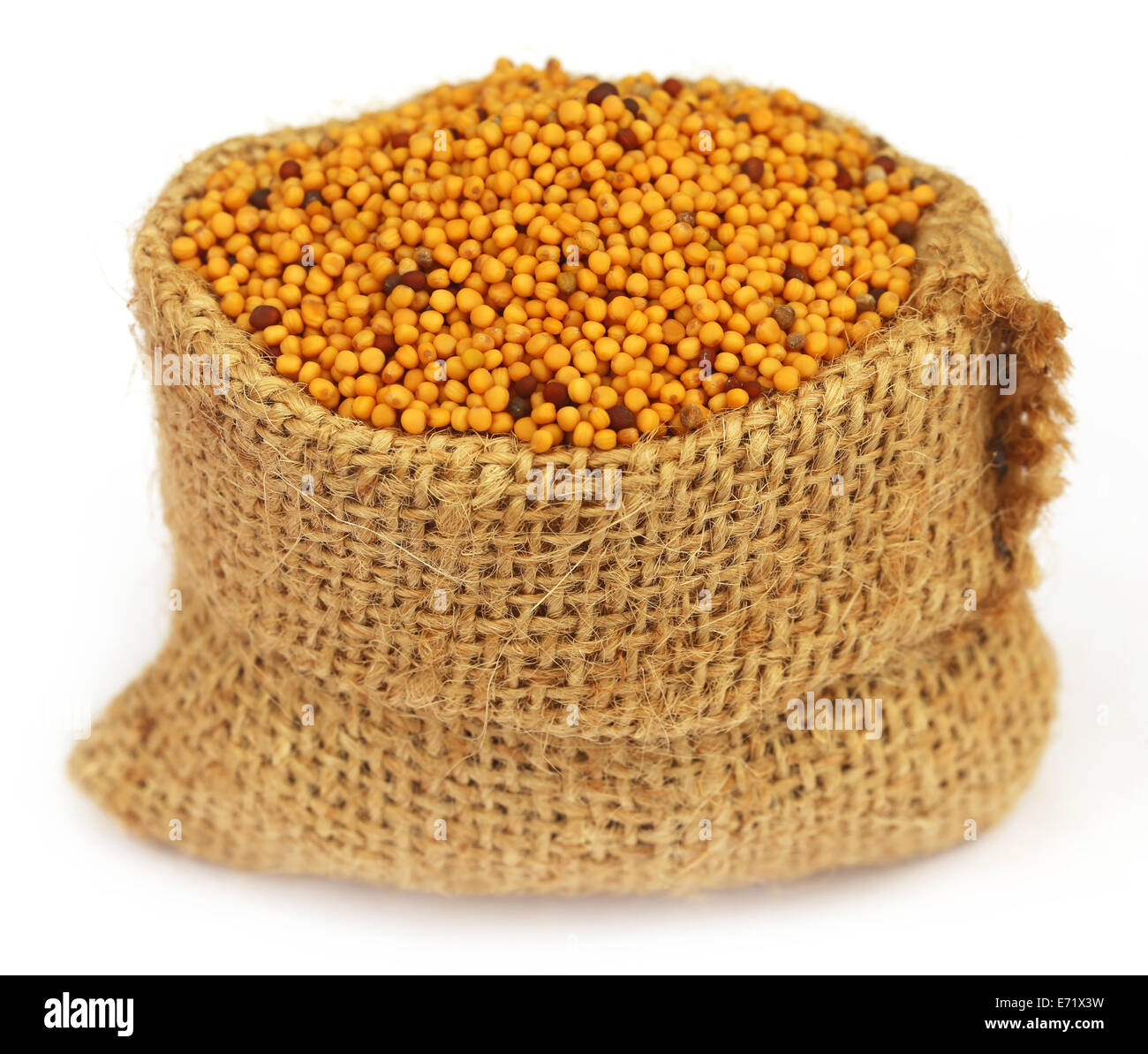 Goldenen Senf in einem Sack Tasche auf weißem Hintergrund Stockfoto