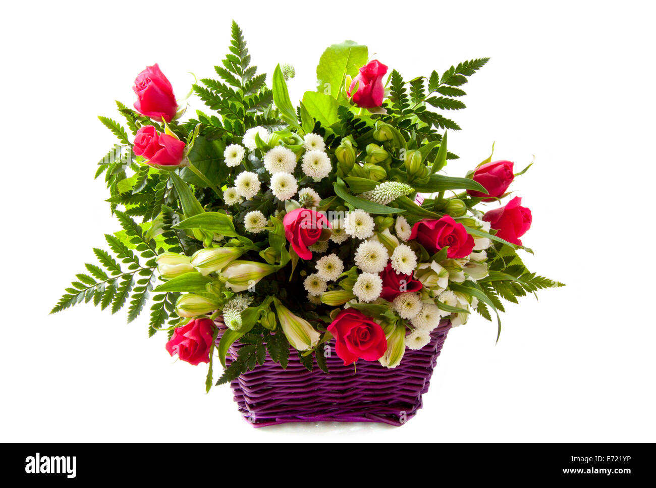 Schöner Blumenstrauß mit rosa Rosen in einem lila Korb über weiß Stockfoto