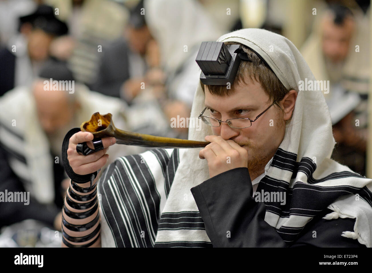 Religiösen jüdischer Mann bläst ein Schofar während der Gottesdienste vor Neujahr in einer Synagoge in Crown Heights, Brooklyn, NY Stockfoto