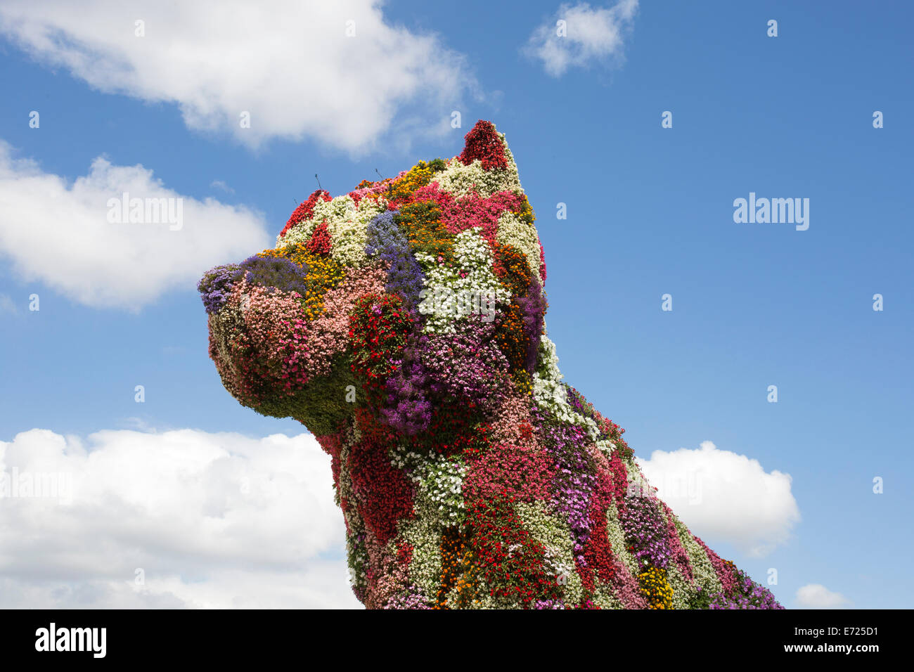 Jeff Koons riesige Welpen Skulptur außerhalb das Guggenheim Museum Bilbao. Stockfoto