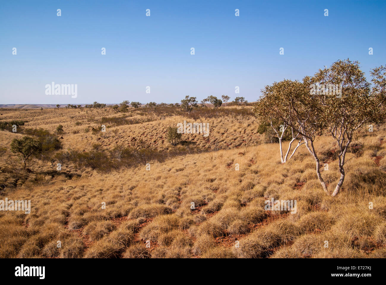 MILLSTREAM CHICHESTER NATIONALPARK, PILBARAREGION, NORTH WEST, WESTERN