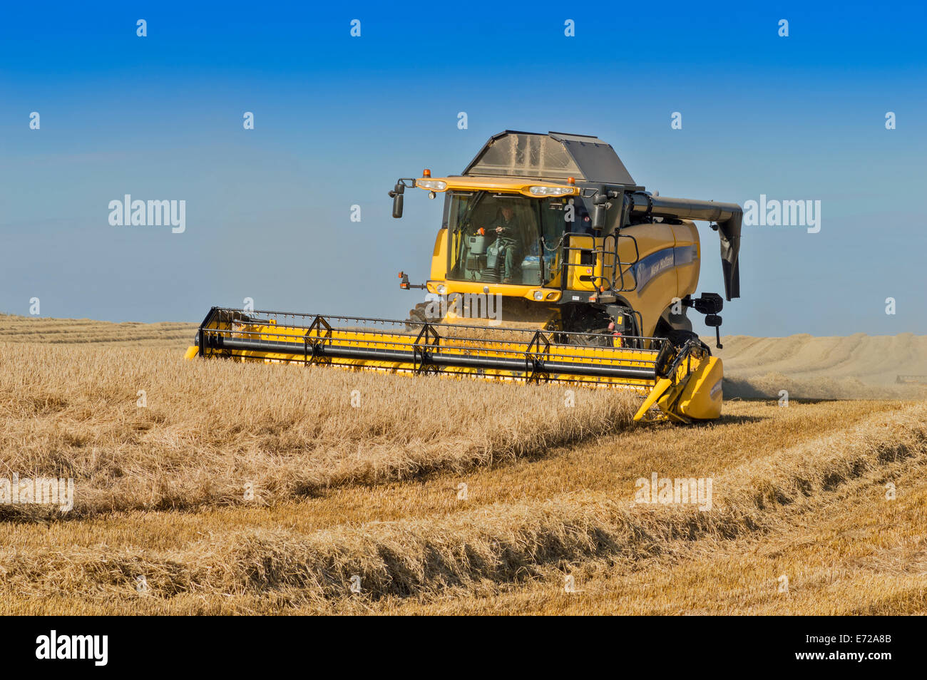 KOMBINIEREN SIE HARVESTER-ABERDEENSHIRE-SCHOTTLAND ABSCHLUSS DAS MÄHEN IN EINEM GERSTENFELD Stockfoto