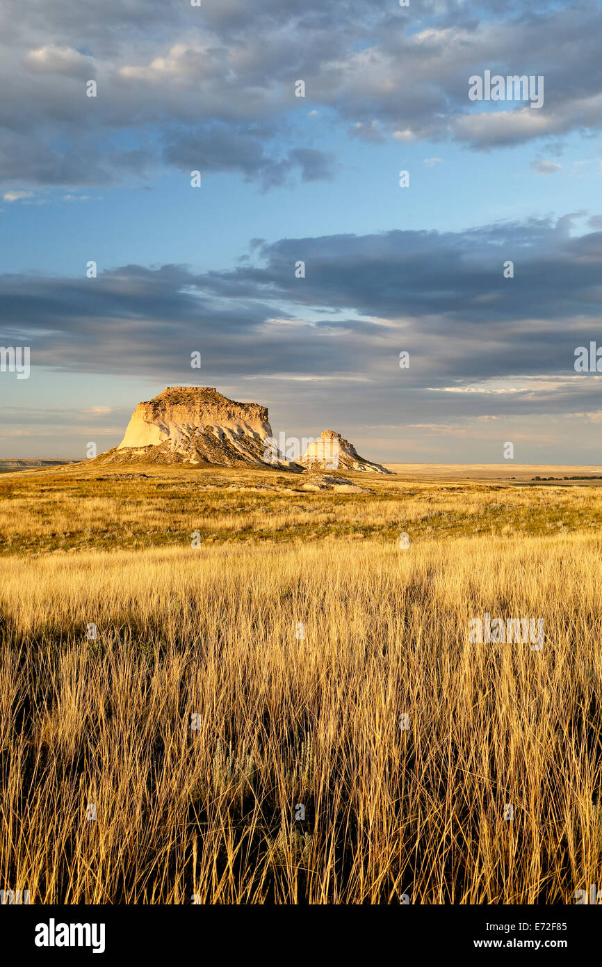Gräser und Pawnee Buttes, Pawnee National Grassland, Colorado USA Stockfoto