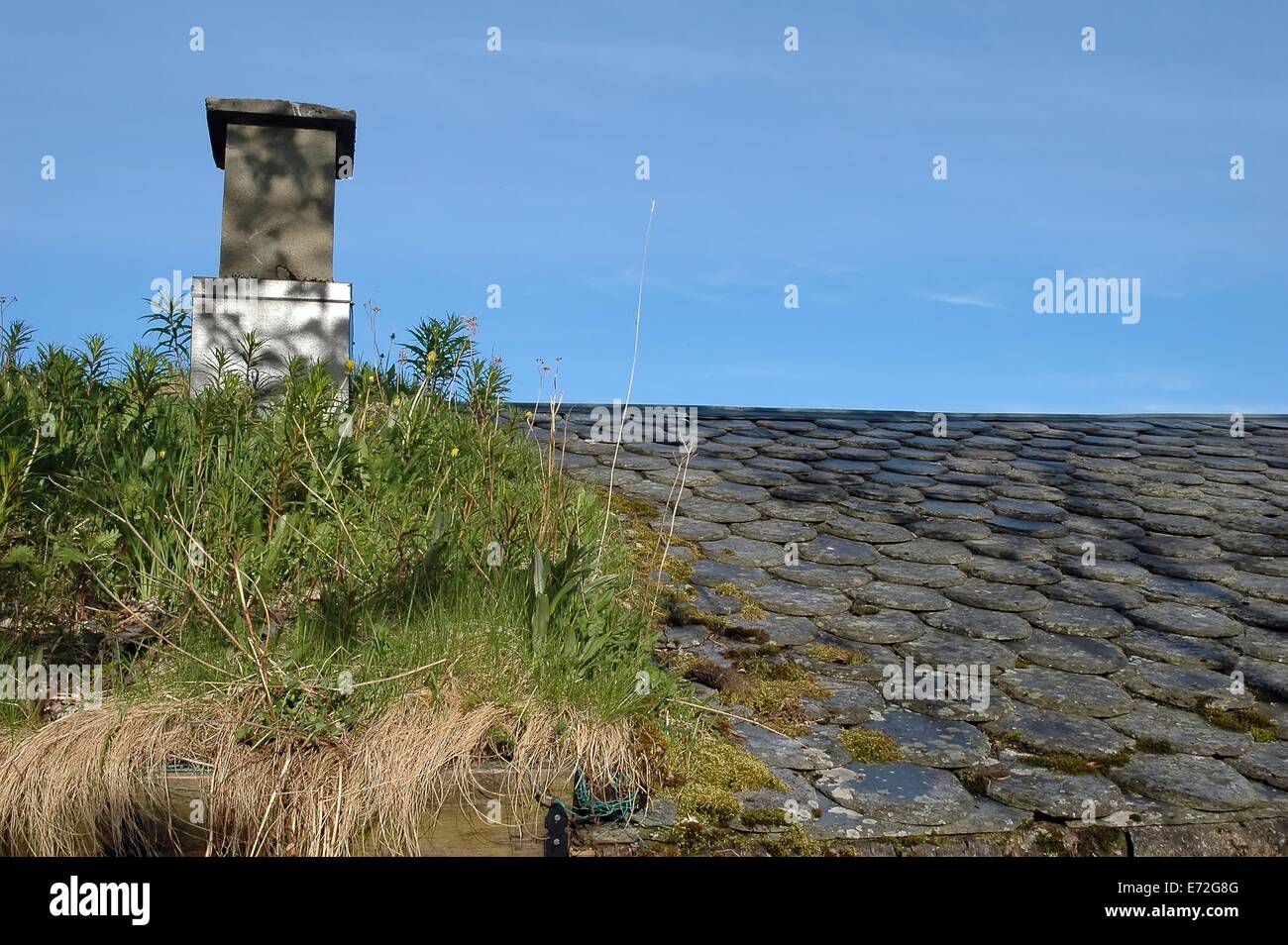 halb begrünt Dach mit Kamin in Norwegen Stockfoto