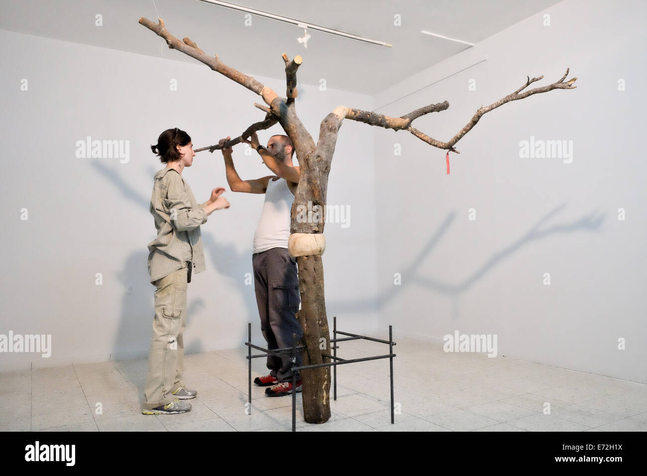 Wadi Ara, Israel. 4. September 2014. Jüdische Künstler TOM ATIAS (R) und NOAH HAYNE (L) bereiten Sie ihre Installation für die "Olive Tree Ausstellungseröffnung" 14. September 2014 in Umm al-Fahm Kunst Galerie. Die Galerie, gegründet im Jahr 1996 als Veranstaltungsort für zeitgenössische arabische und palästinensische Kunst befindet sich in einer Stadt mit mehr als 48.000 israelische Araber im Wadi Ara Tal. Sie bemüht sich, stolz auf Araber durch Kultur schenken und dienen als Ort der multikulturellen Begegnung, Dialog zu schaffen. Bildnachweis: Nir Alon/Alamy Live-Nachrichten Stockfoto