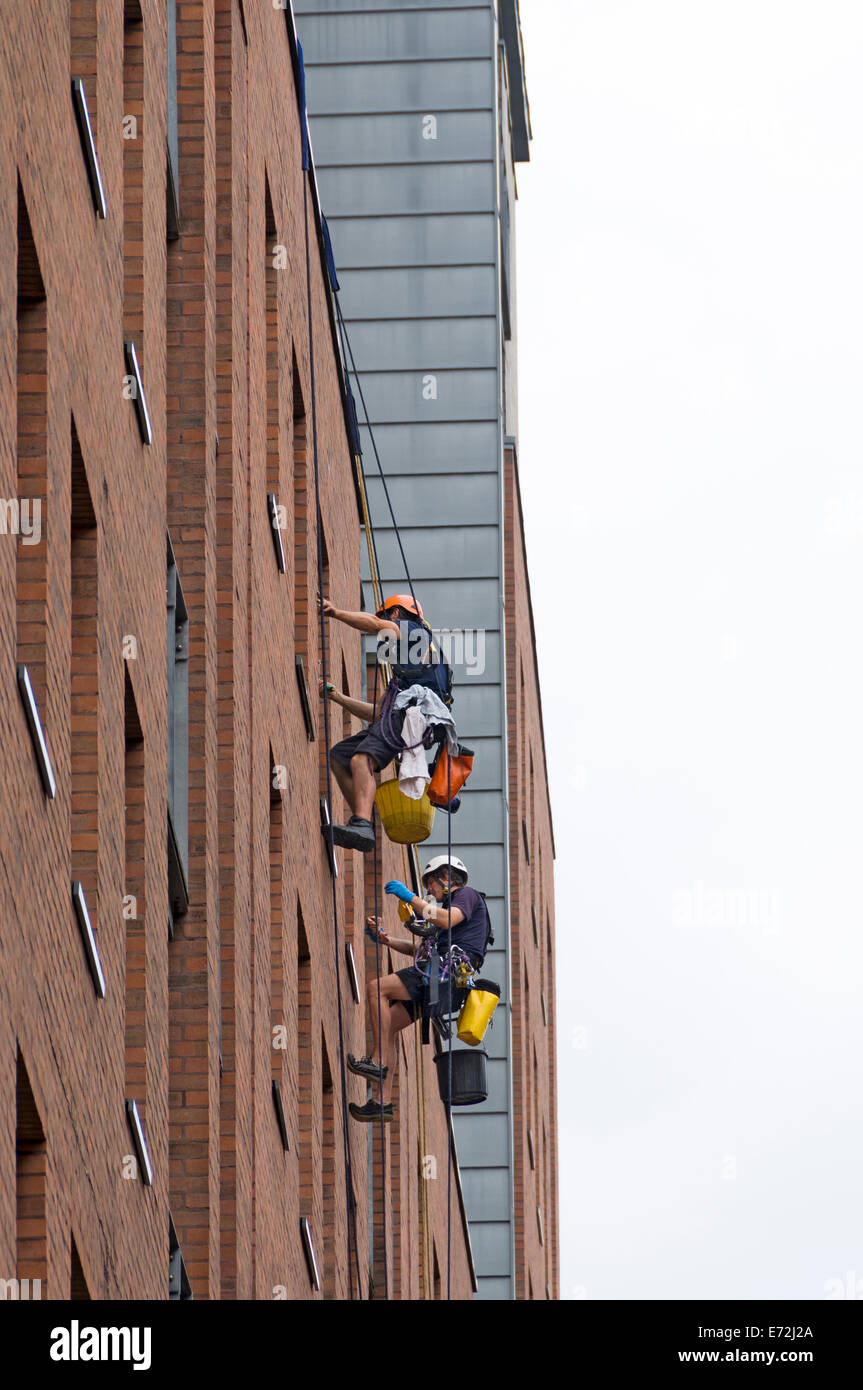Fensterreiniger mit Seiltechnik Zugriff auf ein Bürogebäude in Manchester, England, UK. Stockfoto