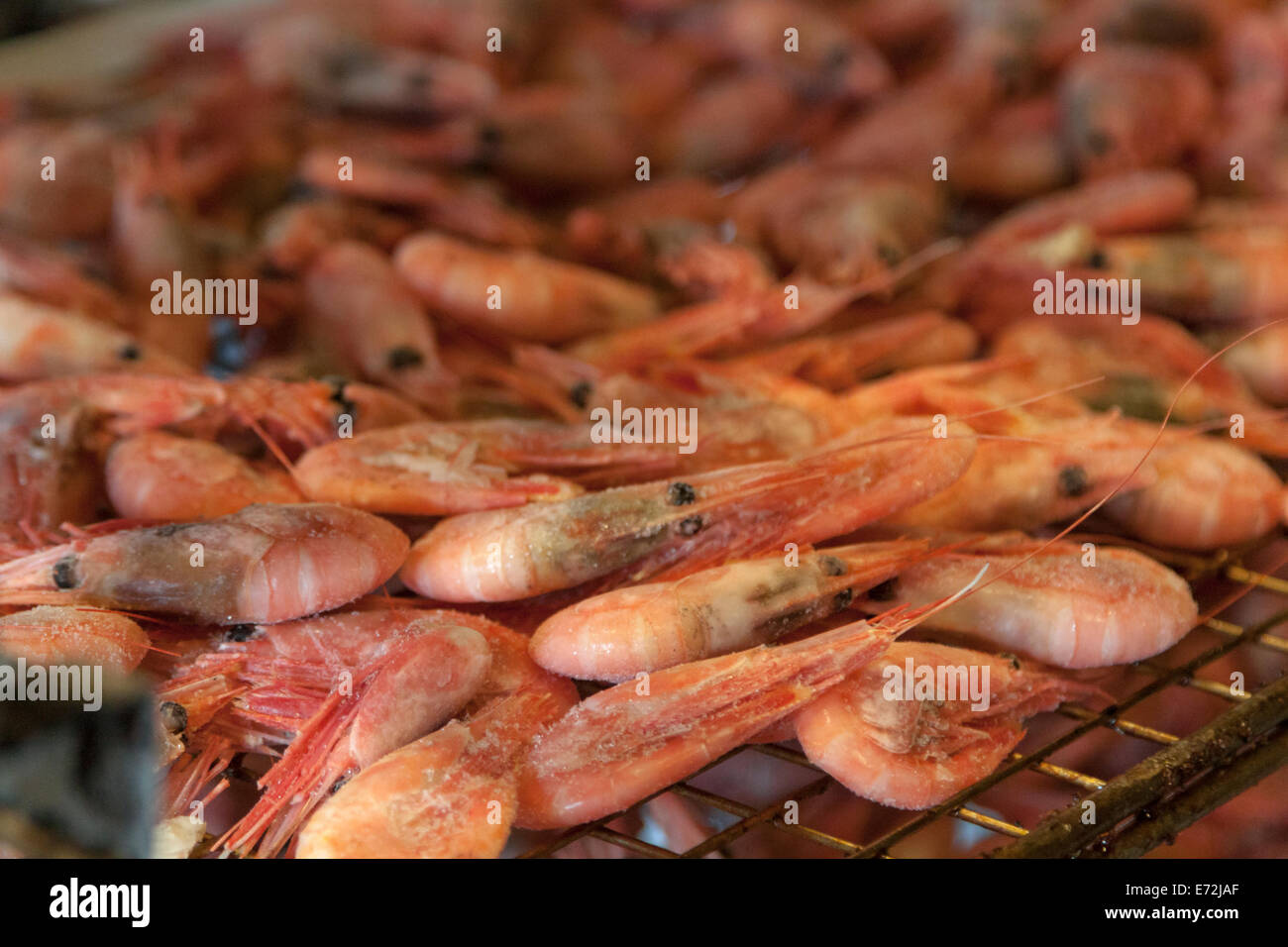 Frisch geräucherte Garnelen aus Åstols Rökeri oder auf der Insel Åstol Räucherei Bohuslän, Västra Götaland, Schweden. Stockfoto