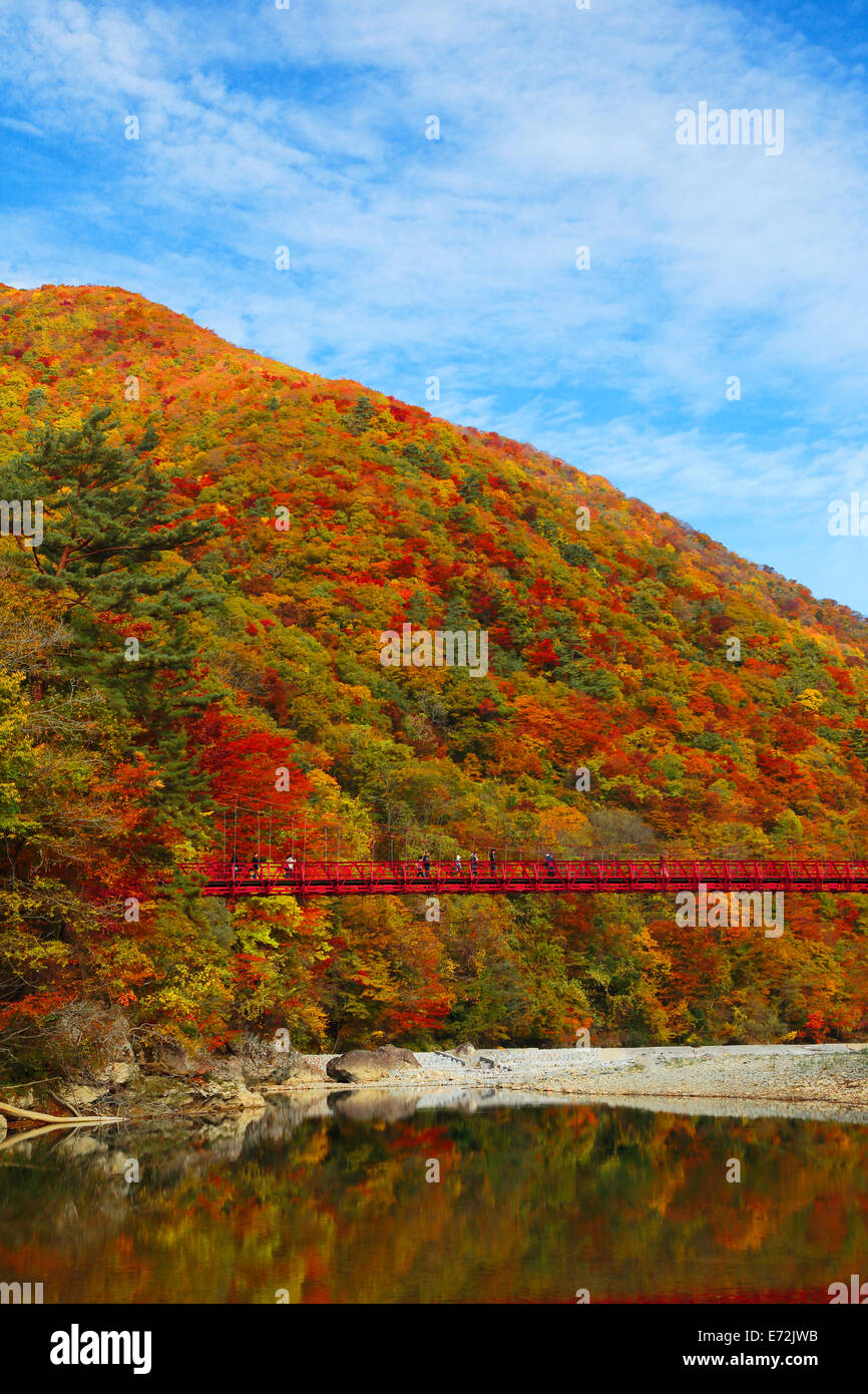 Rotes Laub Dakikaeri Schlucht Kakunodate Akita Japan Stockfoto