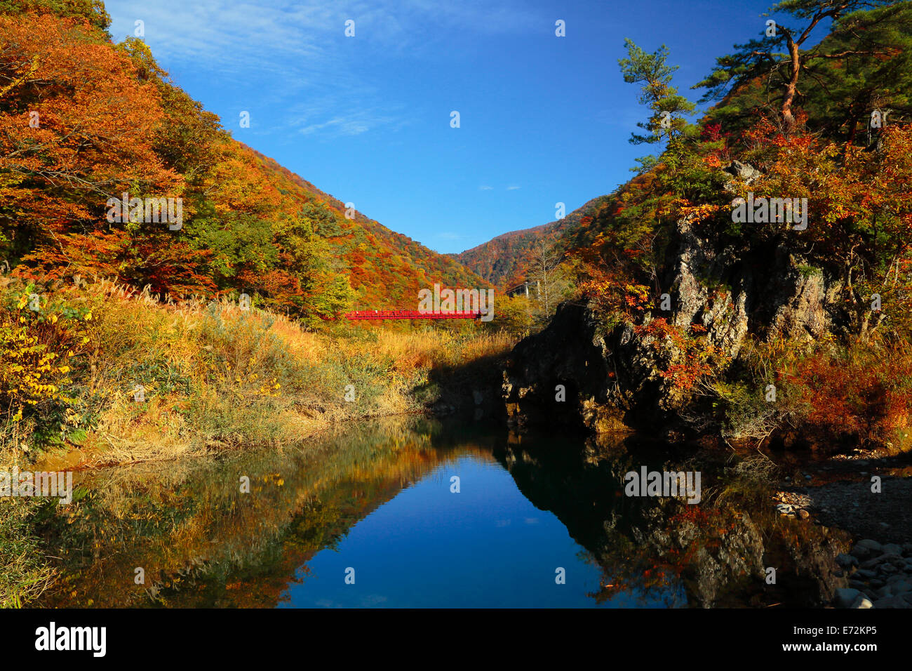 Rotes Laub Dakikaeri Schlucht Kakunodate Akita Japan Stockfoto