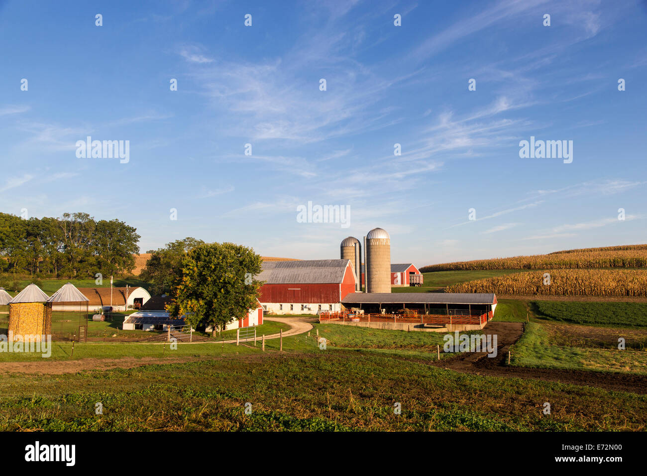 Dairy Farm in der Nähe von schwarzer Erde, Wisconsin, USA. Stockfoto