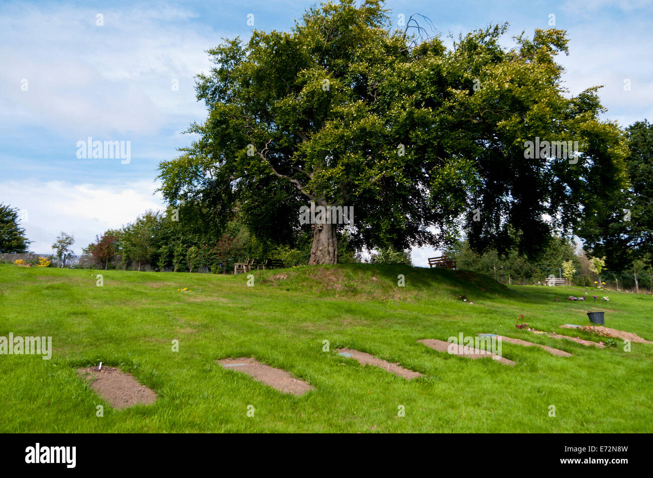 Gräber in einem natürlichen Gräberfeld Stockfoto