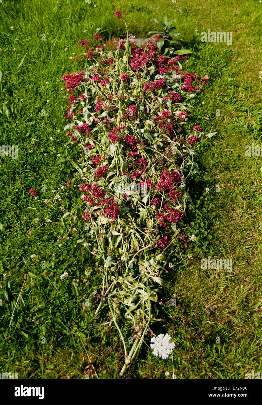 Blumen Kennzeichnung ein Grab in ein natürliches Gräberfeld angelegt Stockfoto