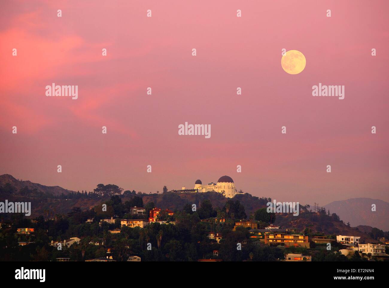 Vollmond steigt über Griffith Observatory in Hollywood, Kalifornien Stockfoto