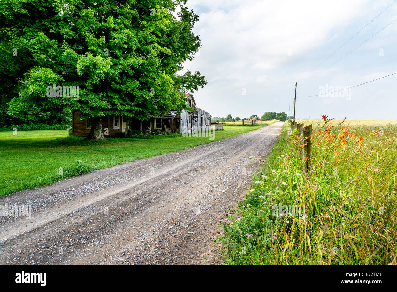 Landstraße in Alabama mit Altes Gehöft Stockfoto