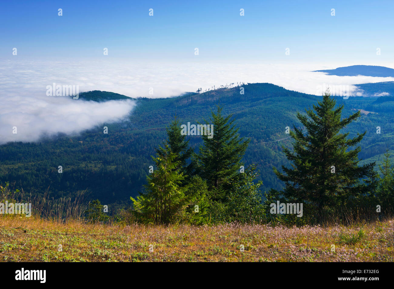 Berg und cloud Stockfoto