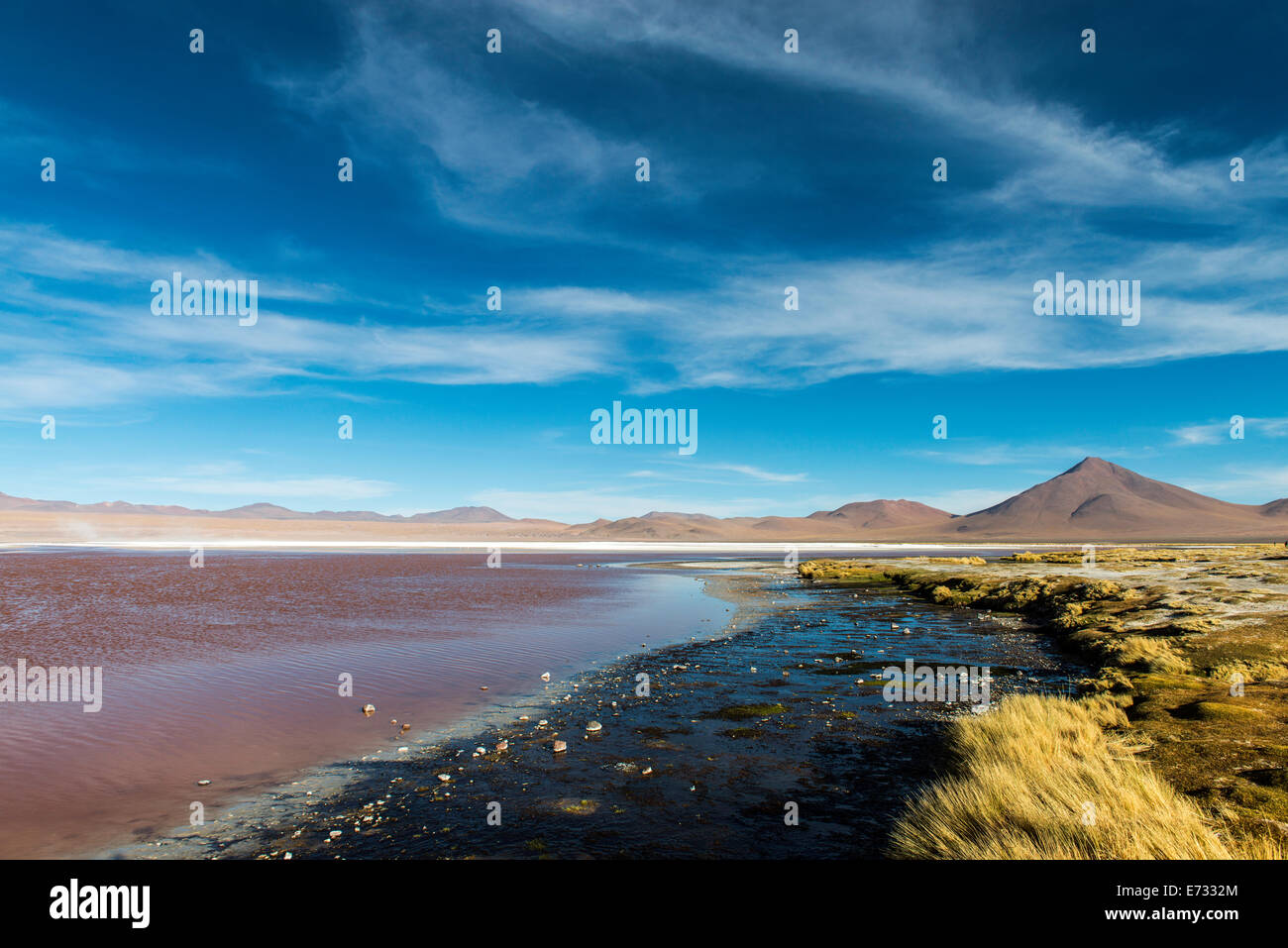 Laguna Colorada (rote Lagune) Salz Wohnungen Bolivien Südamerika Stockfoto