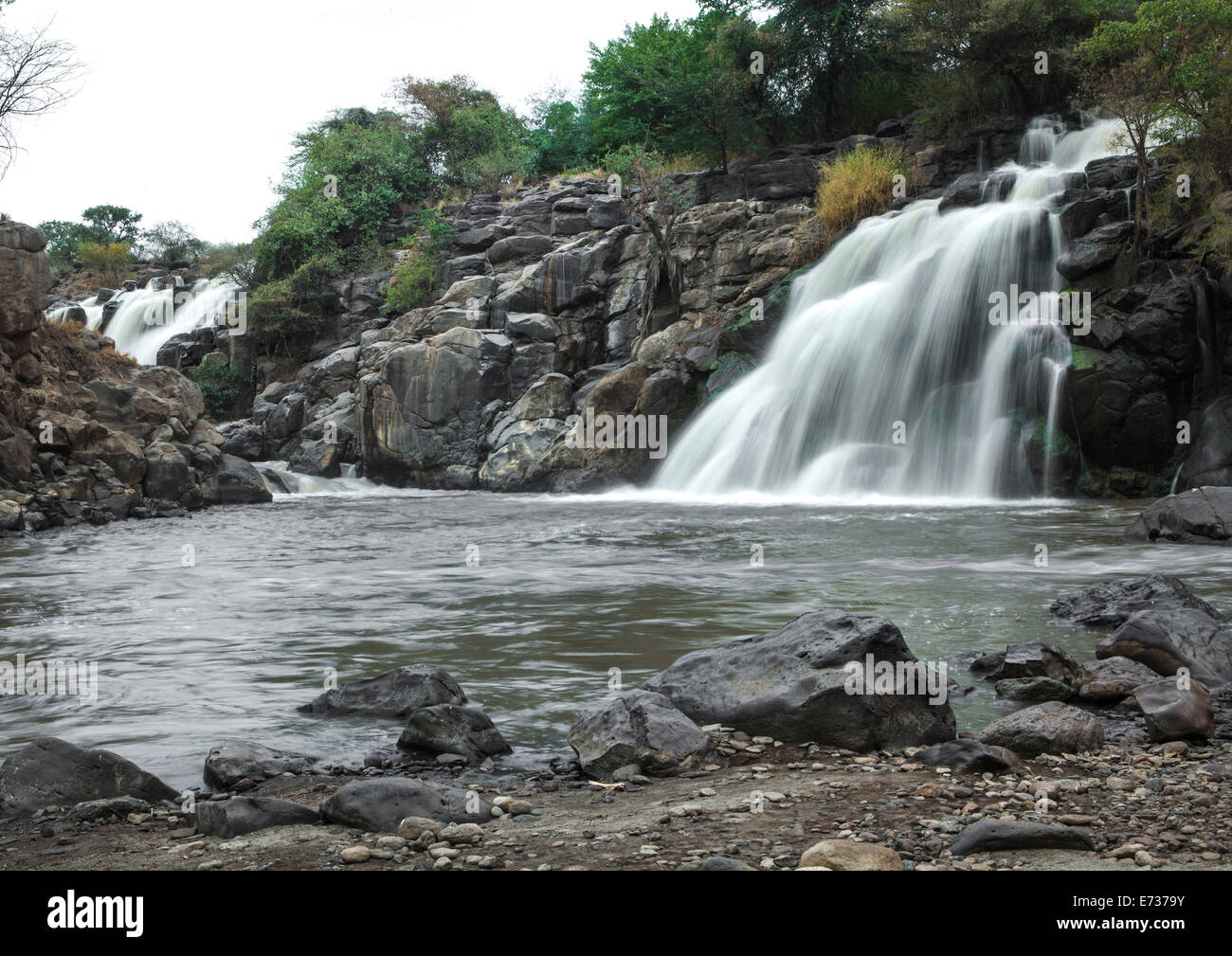 Fluss Awash National Parl, Afar-Region, Äthiopien Stockfoto