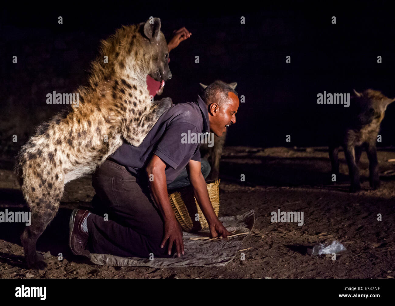 Die Hyäne Mann von Harar und touristischen füttern rohes Fleisch zu wilden Hyänen, Harar, Äthiopien Stockfoto