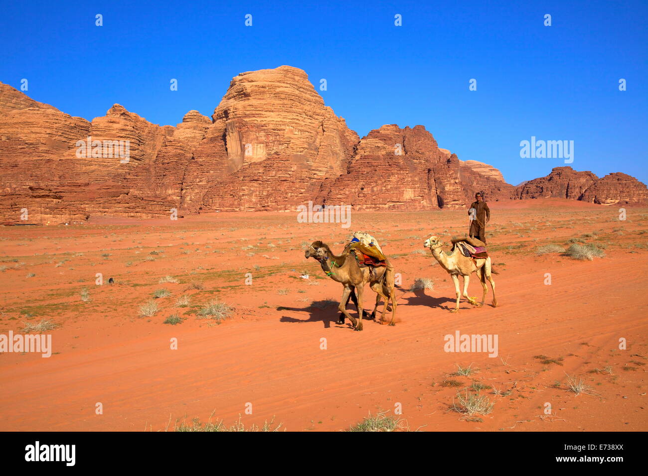 Beduinen und Kamele, Wadi Rum, Jordanien, Naher Osten Stockfoto