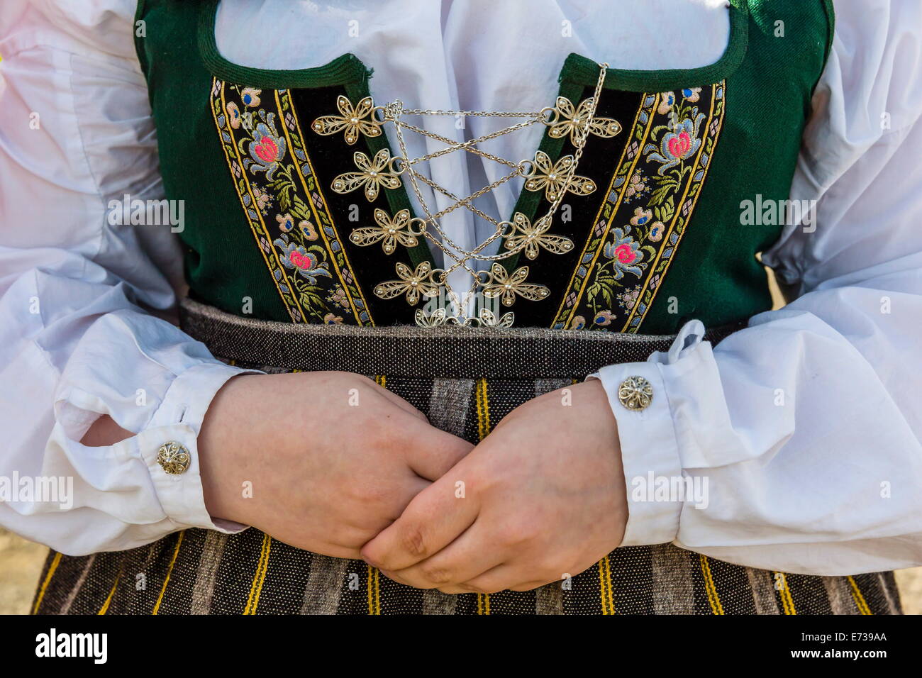 Detail von einem isländischen Tracht in der Nähe von Akureyri, Island, Polarregionen Stockfoto