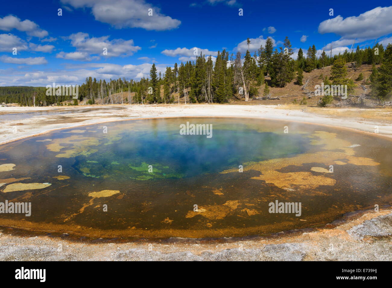 Chromatischer Pool und Umgebung an einem klaren Tag, Upper Geyser Basin, Yellowstone-Nationalpark und UNESCO-Website, Wyoming, USA Stockfoto