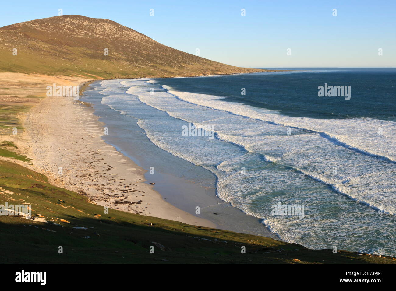 Erhöhten Blick auf Mount Harston, weißen Sandstrand und Rauschen der Wellen, den Hals, Saunders Island, Falkland-Inseln, Südamerika Stockfoto