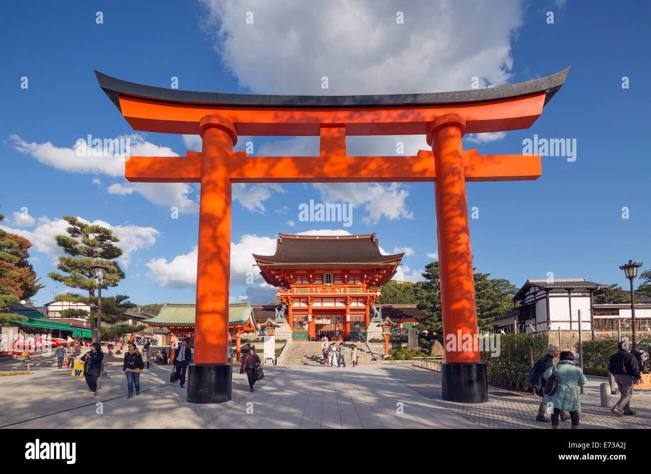 Torii Tor am Fushimi Inari Jinja, Shinto-Schrein, UNESCO-Weltkulturerbe, Kyoto, Honshu, Japan, Asien Stockfoto