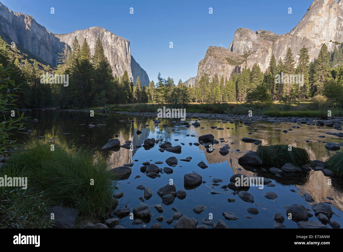 Talblick mit El Capitan, Yosemite-Nationalpark, UNESCO Website, California, Vereinigte Staaten von Amerika Stockfoto