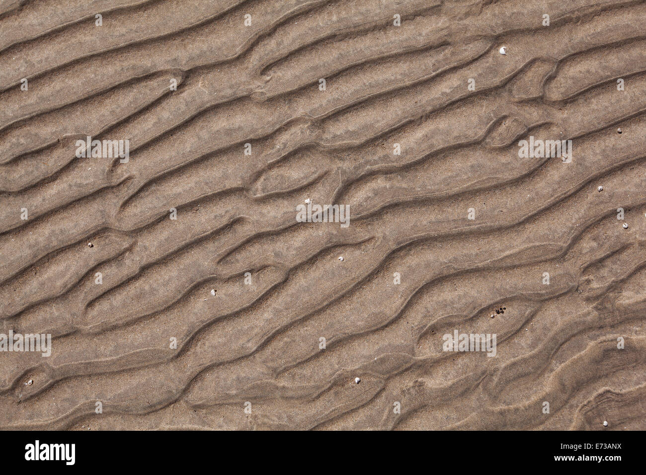 Ocean Floor Stockfotos Ocean Floor Bilder Alamy