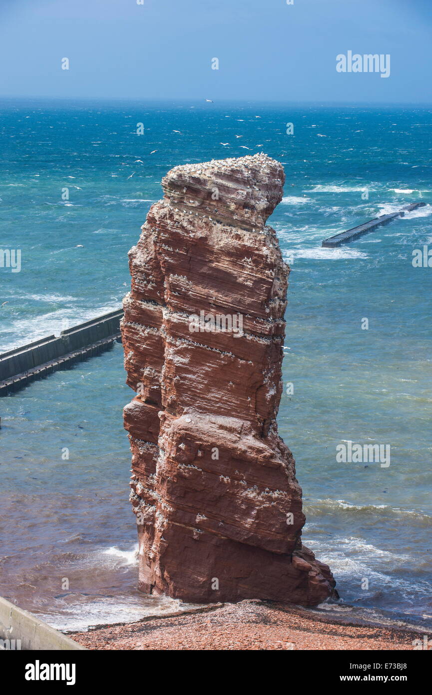 Lange Anna (lange Anna) freistehende Felsen Säule in Helgoland, kleine deutsche Inselgruppe in der Nordsee, Deutschland, Europa Stockfoto