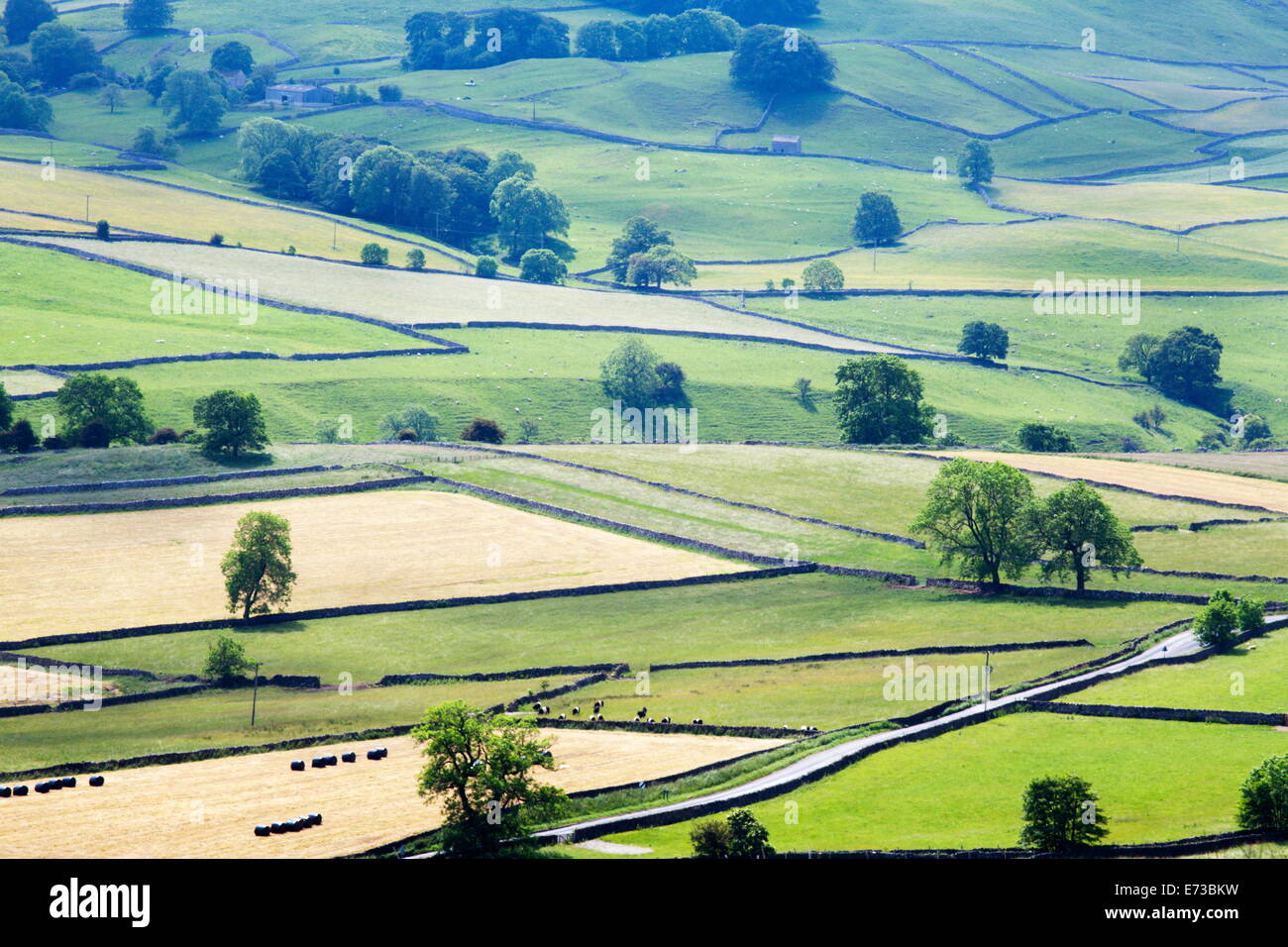 Wiesen in Wharfedale von Rand oben in der Nähe von Hebden, Yorkshire Dales, Yorkshire, England, Vereinigtes Königreich, Europa Stockfoto