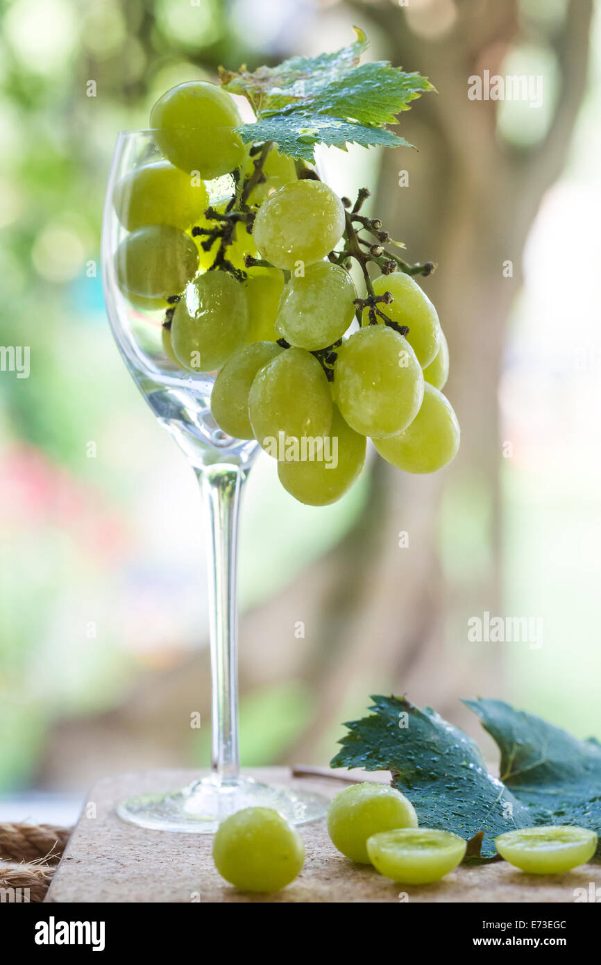 Cotton candy grapes -Fotos und -Bildmaterial in hoher Auflösung – Alamy