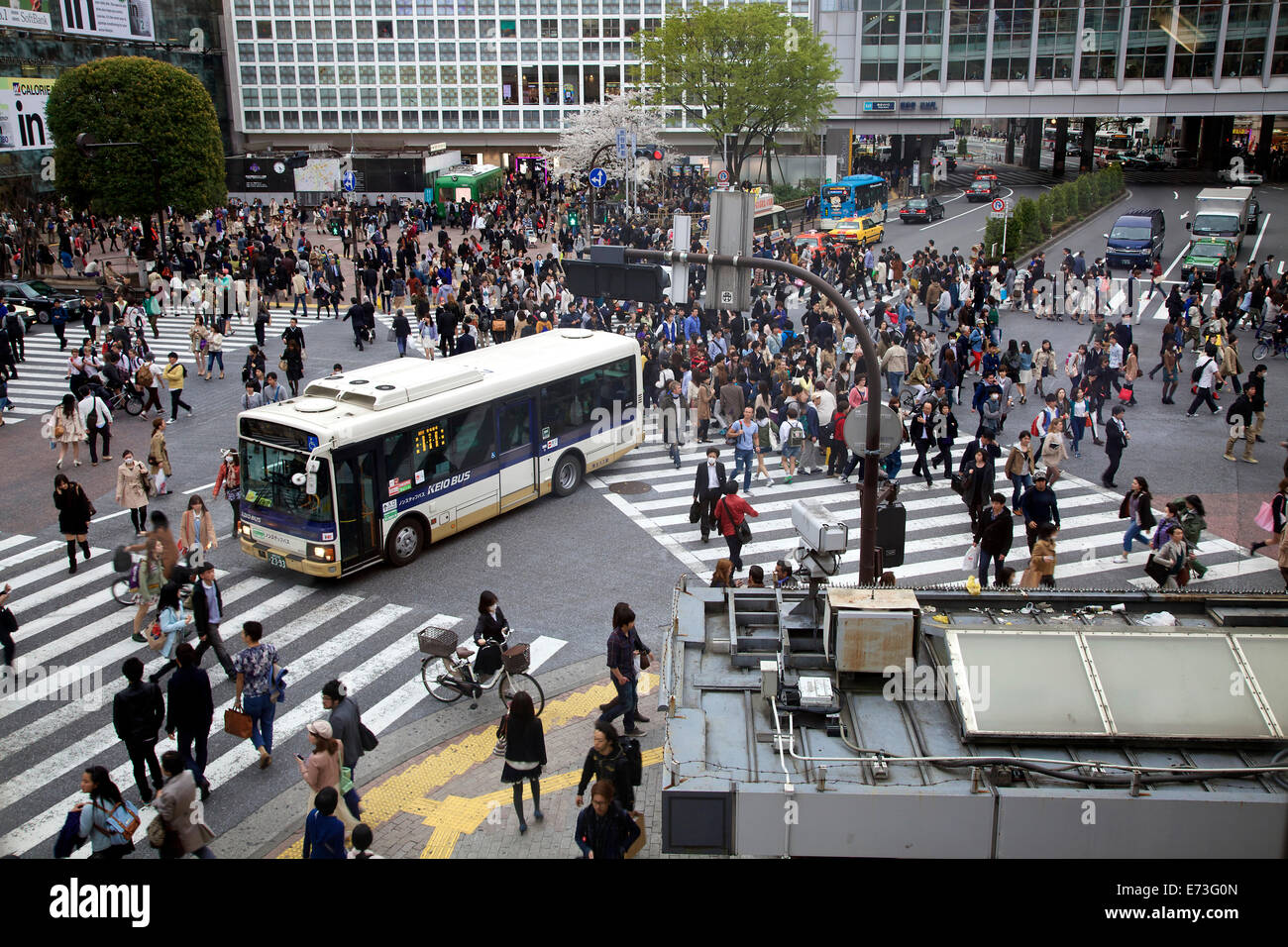 Shibuya Crossing in Tokio, Japan, Asien. Einer der belebtesten Kreuzungen der Welt. Straße, Straße, Fußgänger, Menschen, Verkehr, Autos Stockfoto