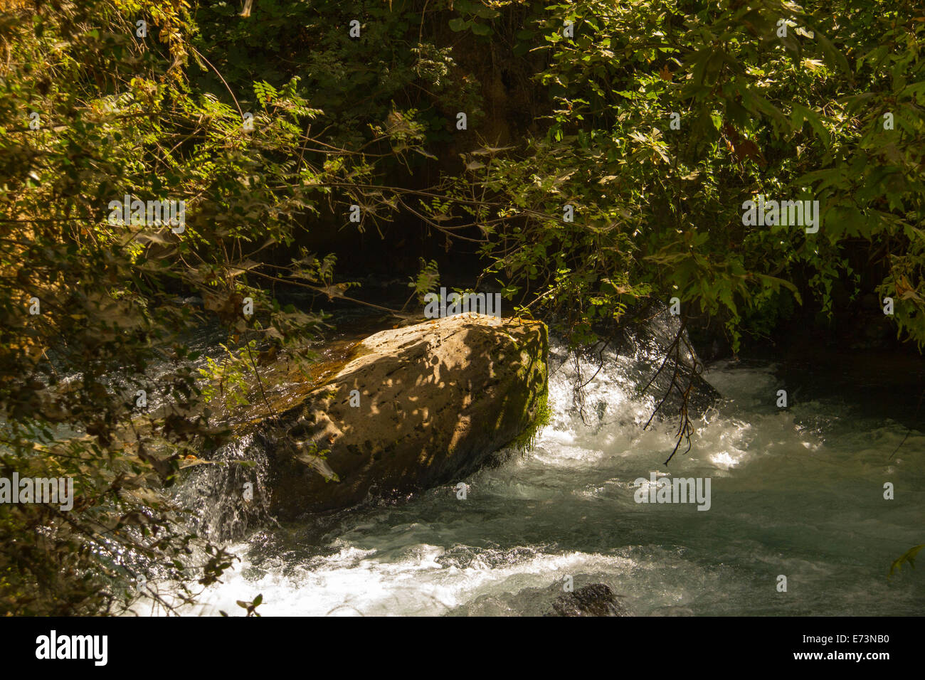 Fluss Hermon, Banias Nature Reserve im Norden Israels Stockfoto