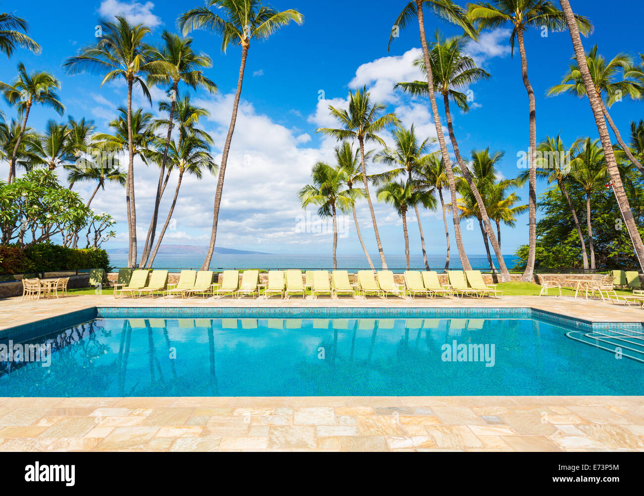 Tropical Resort Pool mit Liegestühlen, Palmen und Blick auf das Meer Stockfoto