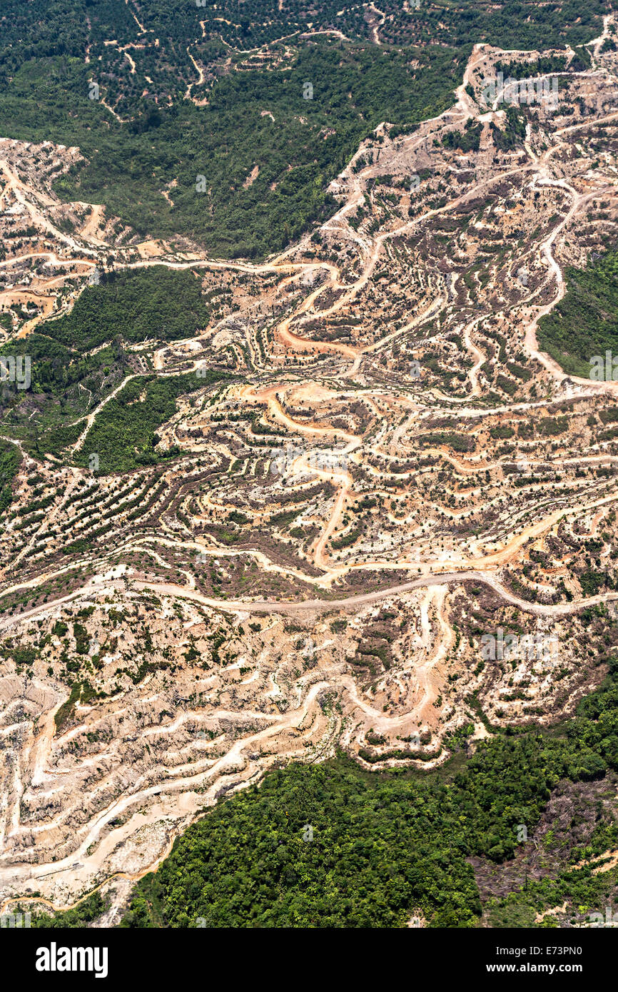 Kahlschlag-Logging mit Forststraßen, Malaysia Stockfoto