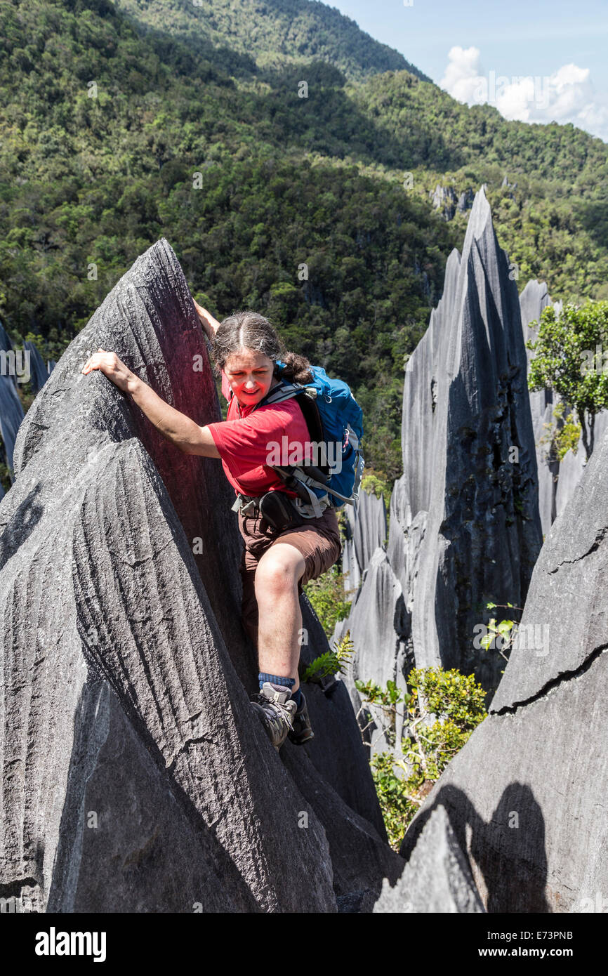 Klettern auf scharfen Felsen an den Zinnen, Karstlandschaft, Gunung Mulu Nationalpark, Sarawak, Malaysia Stockfoto
