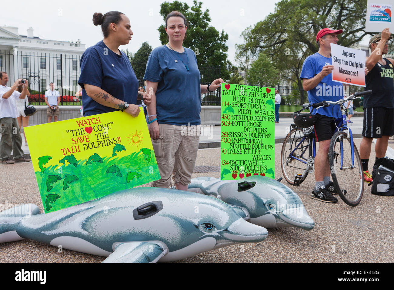 PETA-Mitglieder protestieren vor dem weißen Haus gegen japanische Delphin Fischerei - Washington, DC USA Stockfoto