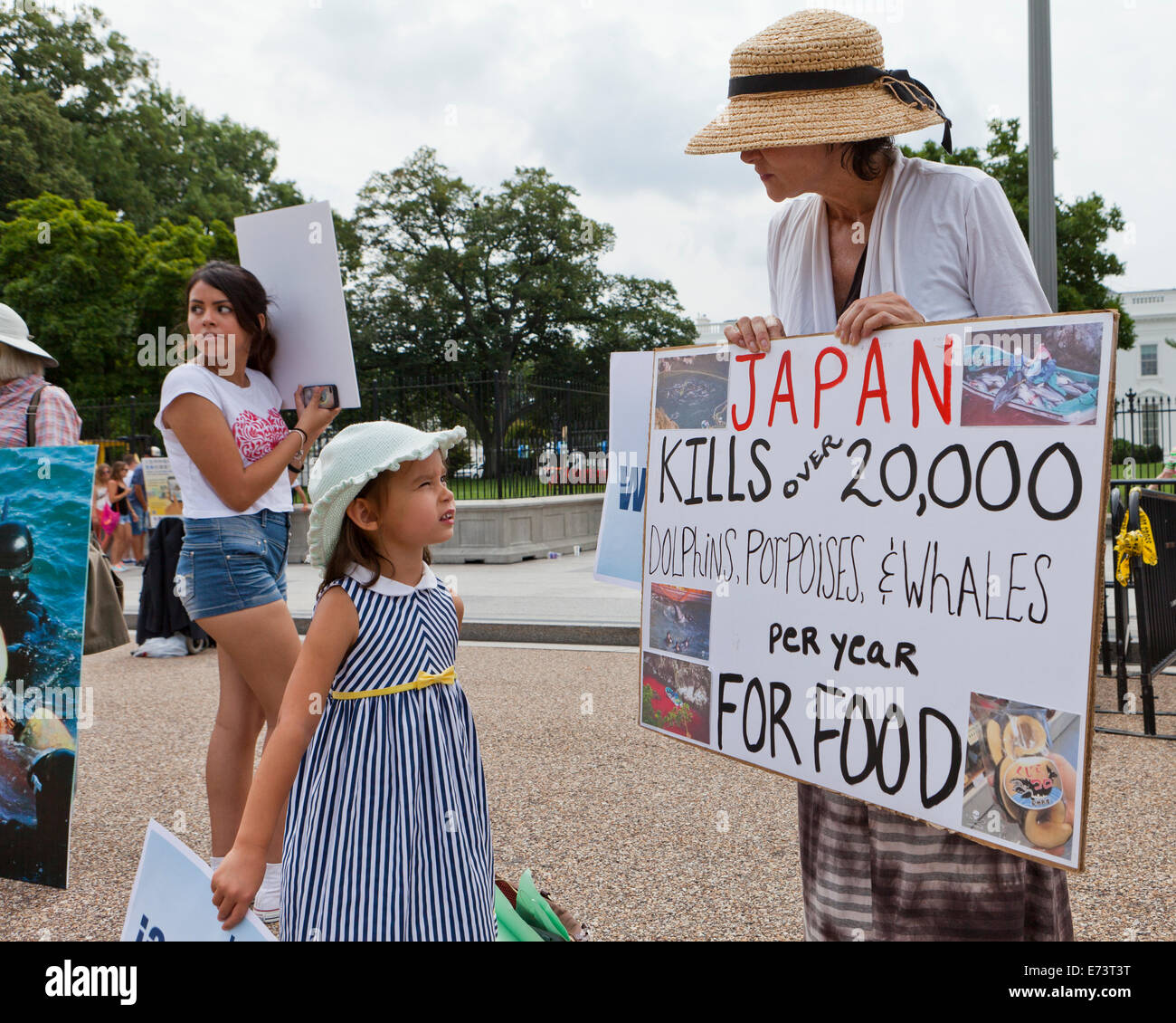 PETA-Mitglieder protestieren vor dem weißen Haus gegen japanische Delphin Fischerei - Washington, DC USA Stockfoto