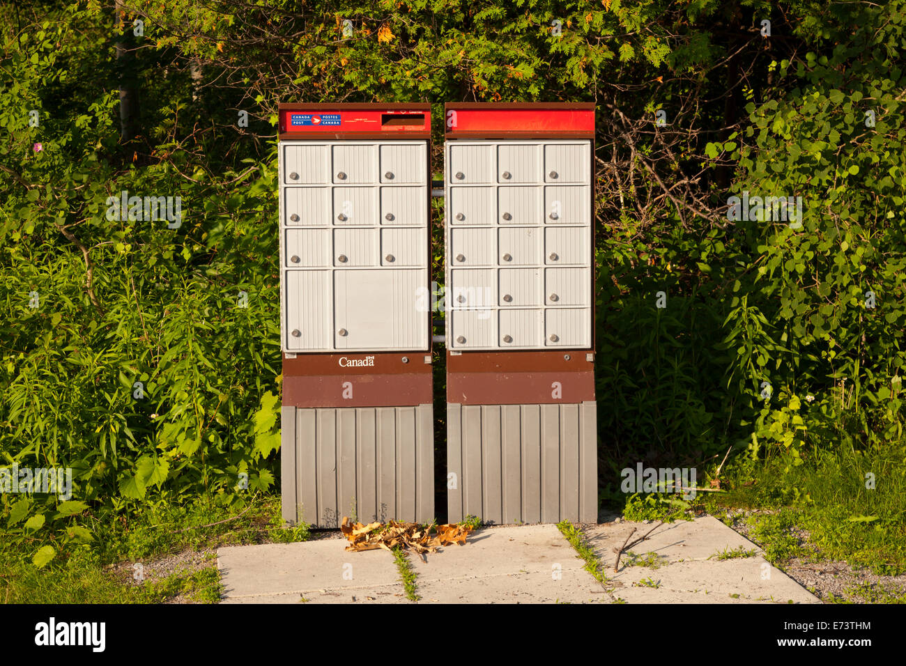 Gemeinschaft-Briefkästen (CMBs) in Whitby, Ontario, Kanada. Stockfoto