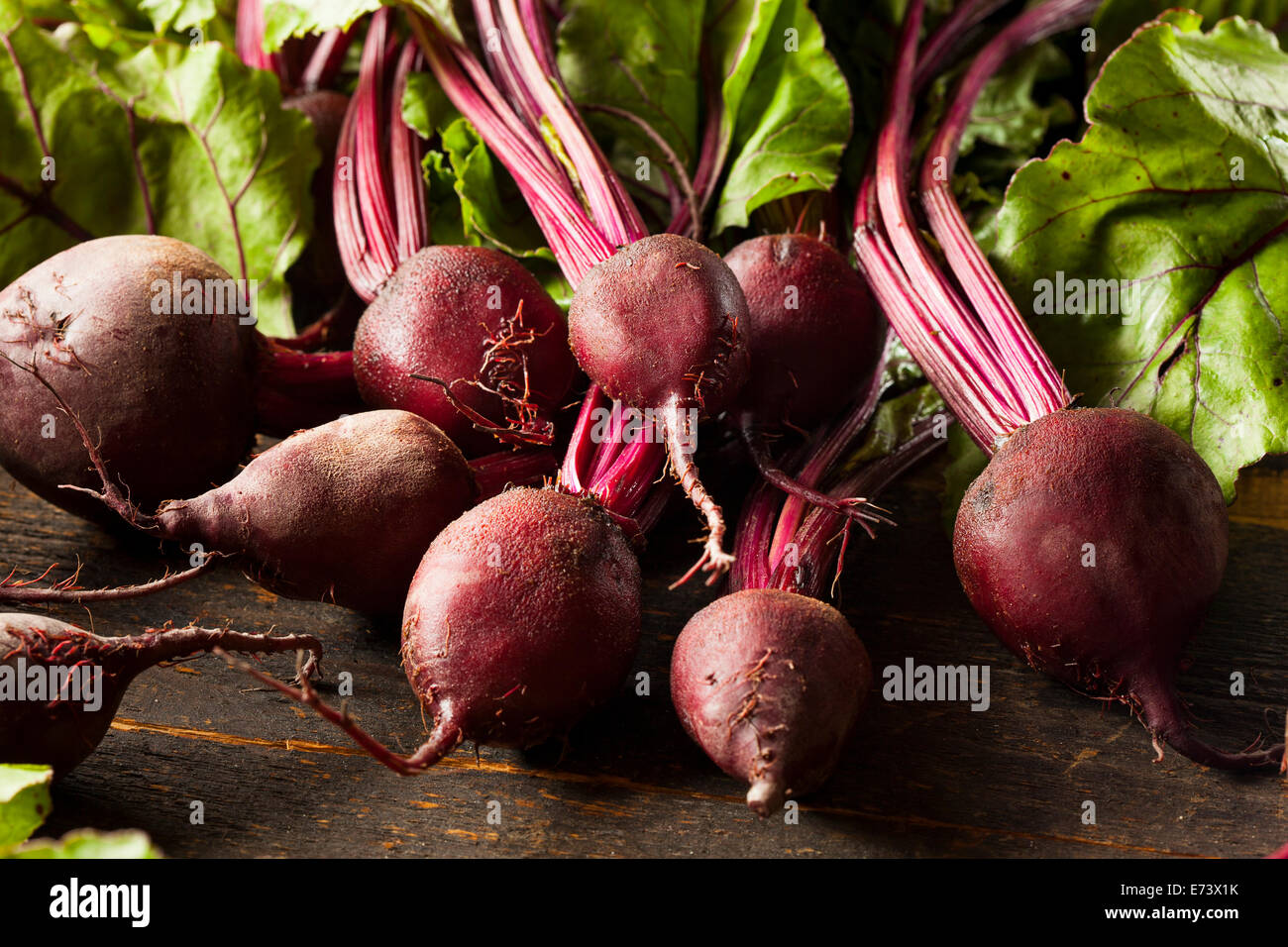 Rohe Bio rote Rüben essfertig Stockfoto