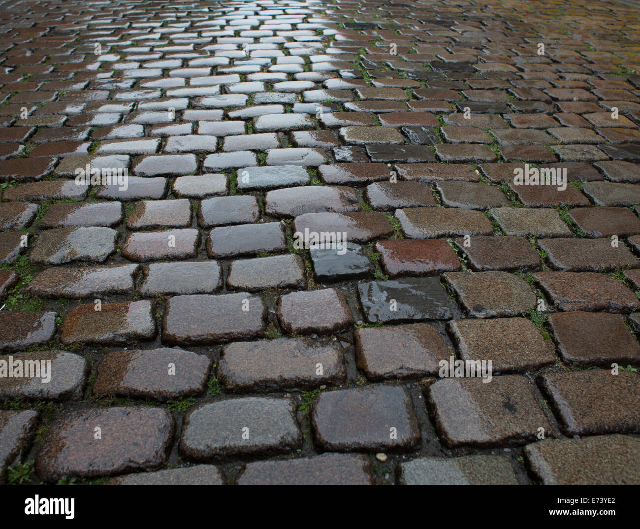 Nasses Kopfsteinpflaster Stockfoto